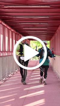 BIB:  <button type="button" onclick="openModal(27431207)" class="btn btn-primary btn-sm float-right" data-toggle="modal" data-target=".modal-high-quality">
                <i class="fa fa-download"></i> Download
                </button>